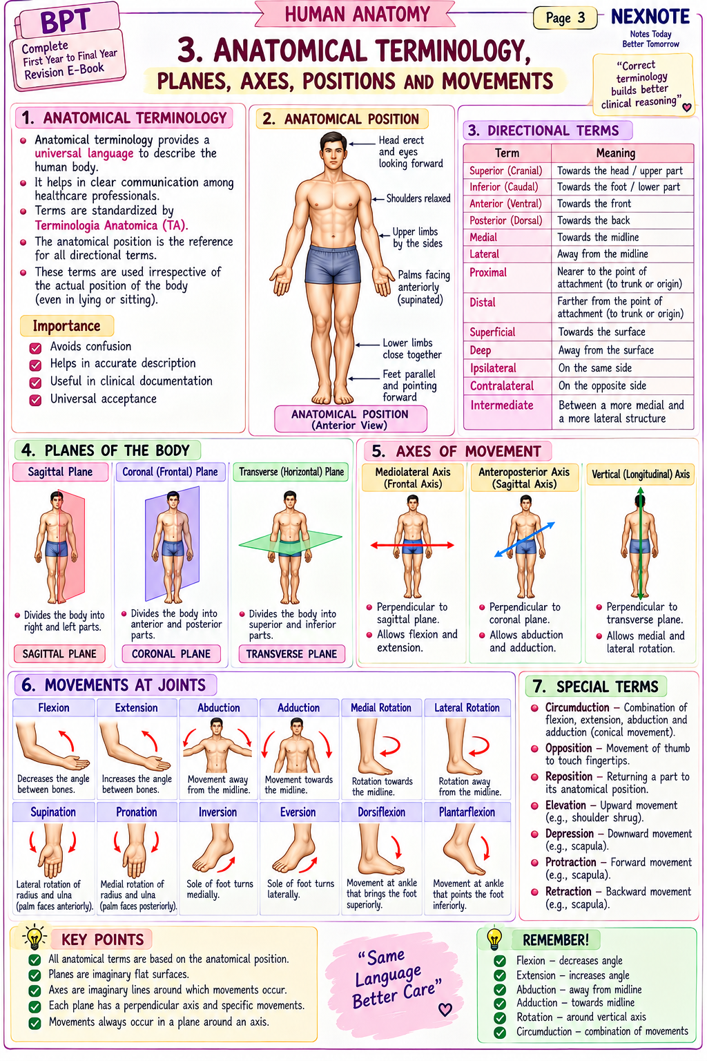 Anatomical Terminology