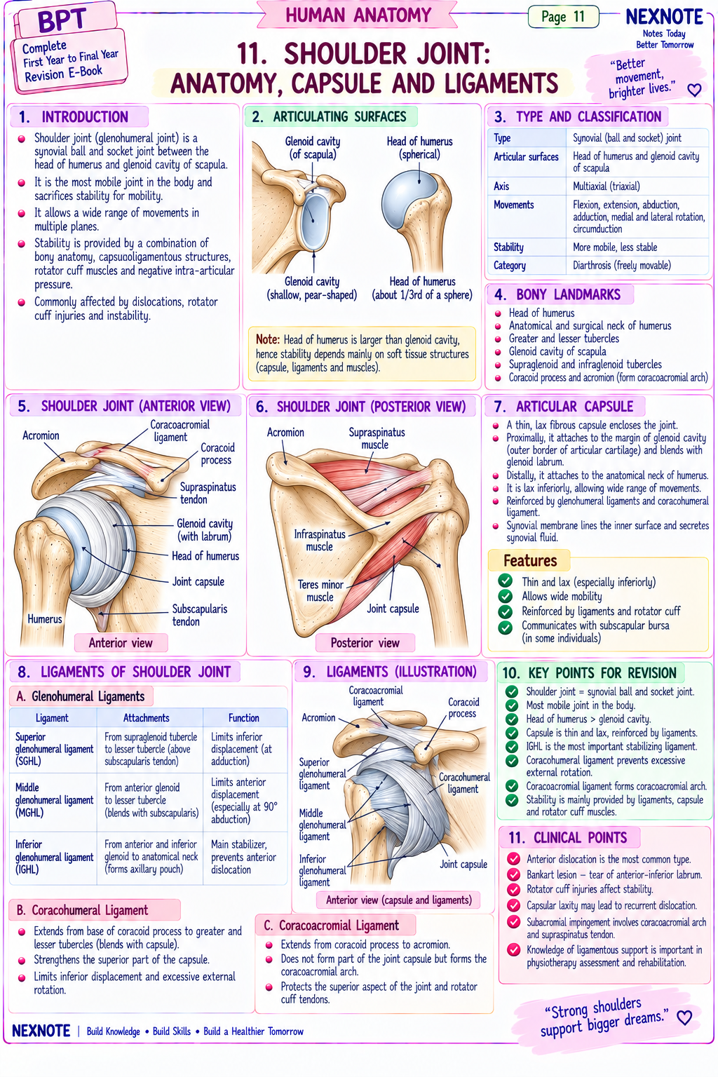 Shoulder joint